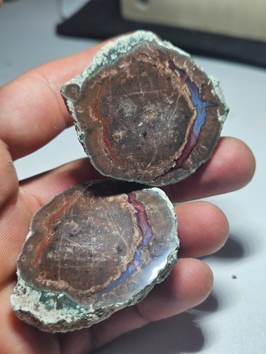 Lithophyse polished very - lithophyse,