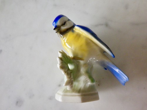 Oiseau mésange porcelaine