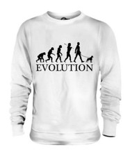 Boston Terrier Évolution De Homme Unisexe Pull Hommes Femmes Chien Amant Bull