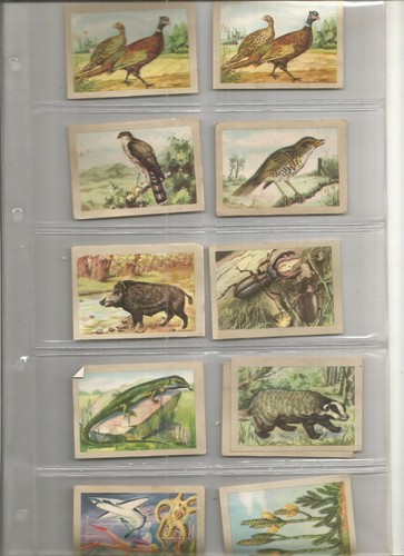 Lot chromos anciens chocolat - lot,
