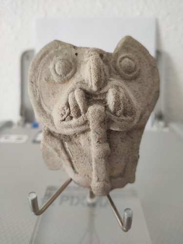 Tête jaguar terre - jaguar,