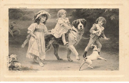 Chiens mk41443 lecon - #mk41443,