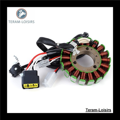 Stator pour yamaha 250 - stator,
