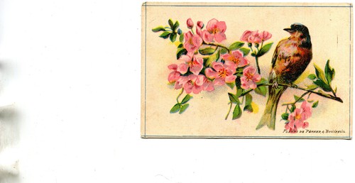 Carte avec illustration un - carte,