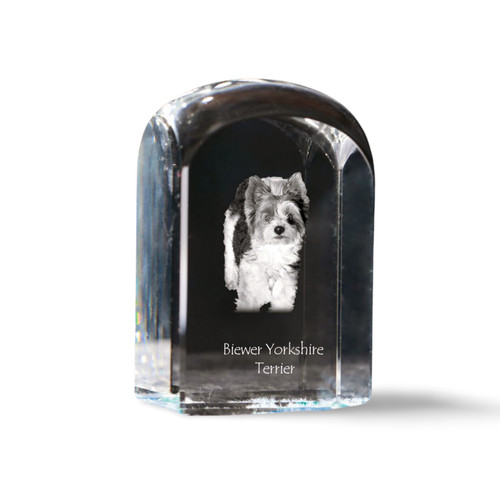 Biewer yorkshire terrier - yorkshire,