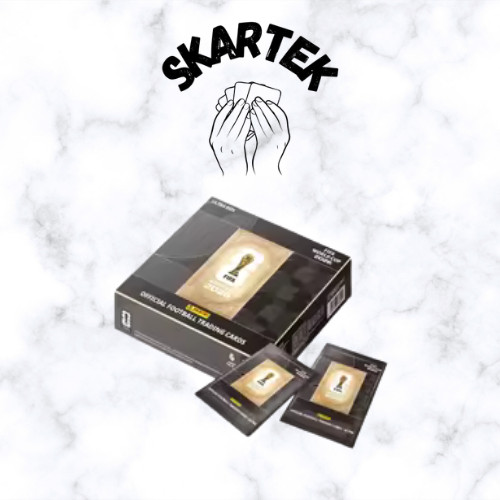 Kayou panini fifa world cup - x,