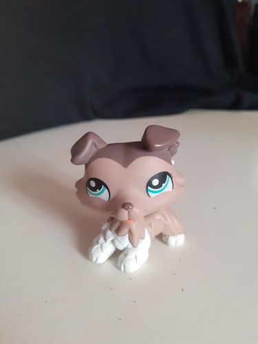 Authentic littlest petshop - authentic,