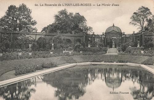 Hay les roses miroir d - le,