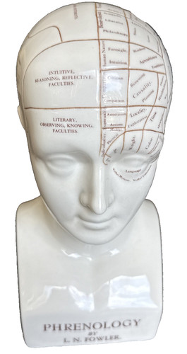 Vintage ceramic phrenology - vintage,
