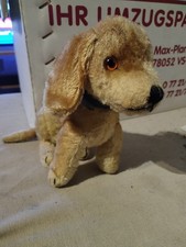 Peluche chien vintage Steiff avec bouton d’oreille – années 50/60 – collection