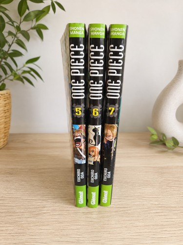 Manga one pièce 12 - pièce, 1