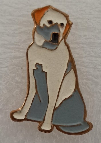 Pins chien labrador - chien,