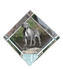 Bordeauxdogge,Dogue de