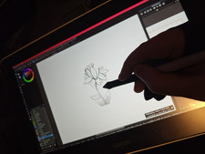 Tablette graphique WACOM Wacom One 13 pen display stylet inclus