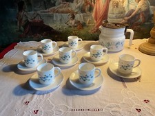 ARCOPAL VERONICA  MYOSOTIS