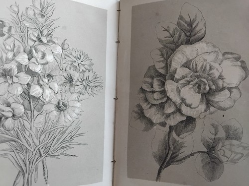 Fleuriste des salons fleurs - des,