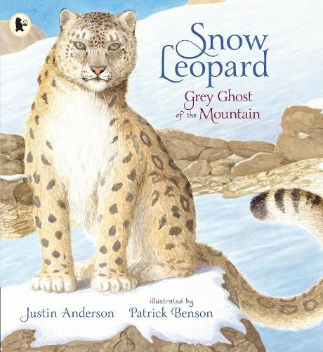 Justin anderson snow - anderson, leopard