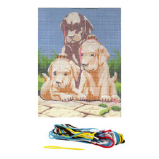 Kit complet canevas chiot