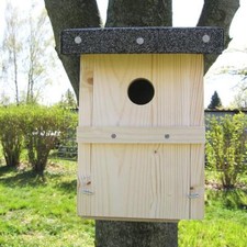 Nichoir " Mésange Bleue " 26 MM Bruthöhle, Incubateur, Mésanges Petits Oiseaux