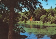 56 BRETAGNE ETANG DU MUR