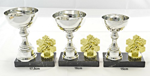 Ski alpin trophée coupes 3 - alpin,