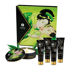 Shunga Secrets of Geisha