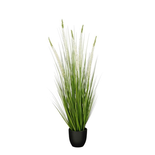 Mica decorations eremurus - mica, –
