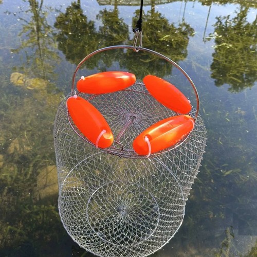 Nasse poissons fil - en,