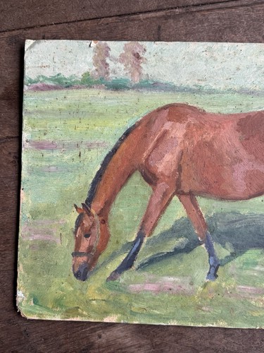 Horse study late - horse,