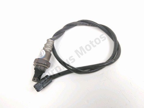 Sonde lambda yamaha xjr 1300 - lambda,