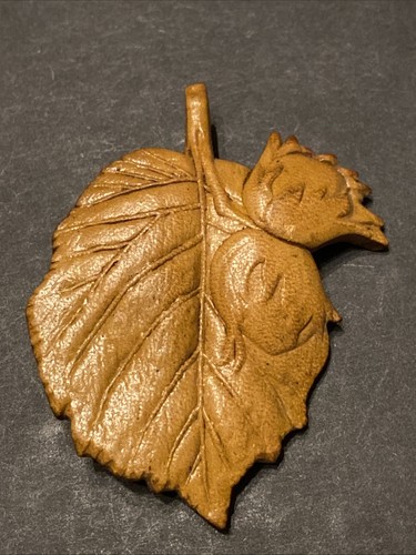 Pin nature arbre feuille - feuille, de