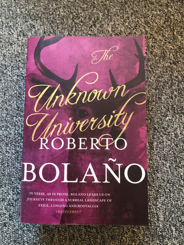 Livre roberto bolaño - bolaño, the