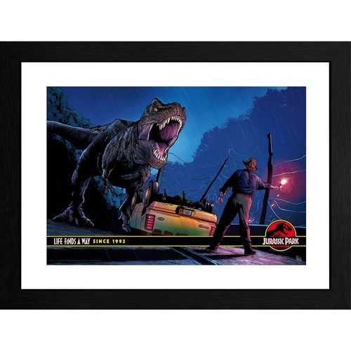 Jurassic park photo - photo, encadrée