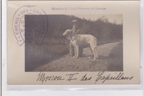 Cyprien carte photo - st-cyprien, :