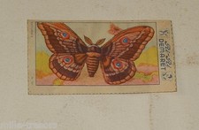 Image CHROMO RI-RI DEMARET 