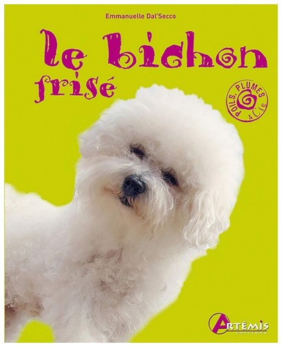 Bichon frisé - le,