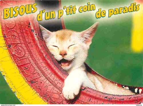 Carte postale animaux - postale,