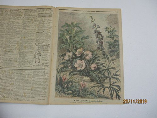 Petit journal 1897 330 - petit, les