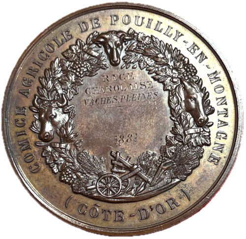 15131 médaille comité - -,