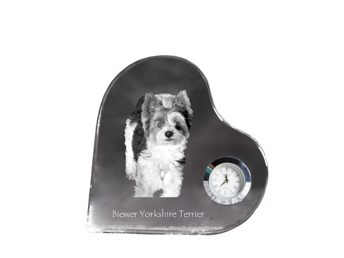 Biewer yorkshire terrier - yorkshire,