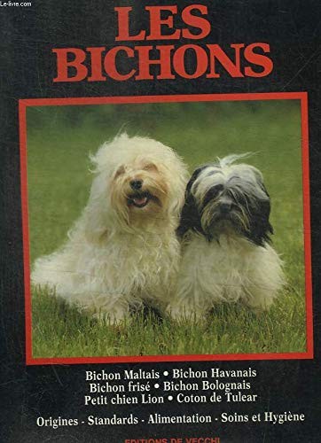 Les bichons bichon maltais - bichons.,