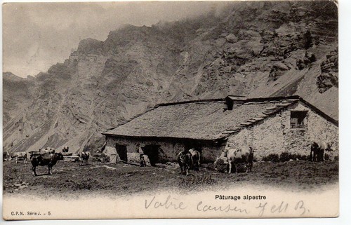 Suisse switzerland chalets - suisse,