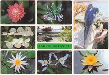 SPAIN PUERTO DE LA CRUZ BOTANICAL GARDEN