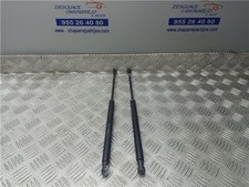 Amortisseur Hayon Fiat punto