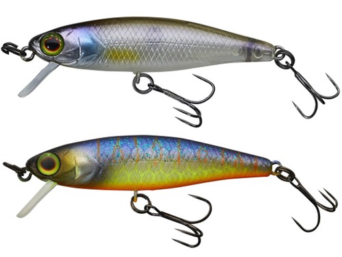 Illex tiny fry - tiny, sp