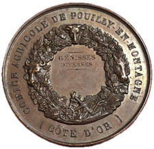 #15124 - Médaille Comité Agricole de Pouilly en Montagne Olivier de Serres 41 mm