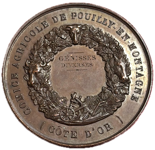 15124 médaille comité - #15124,