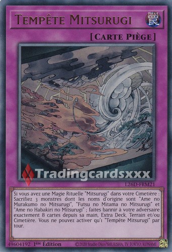 Tempête mitsurugi - tempête,