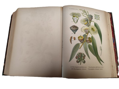 Livre ancien mouillefert - livre, ancien/p.mouillefert
