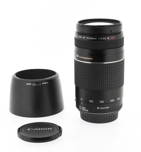 Canon 300mm 4 - ef, f/4‑5.6